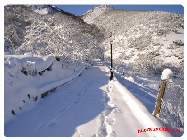 Las Nogueras Nevadas